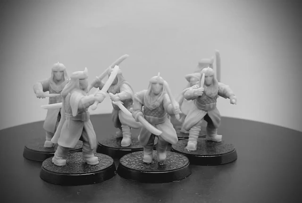 Dragon Cult Assassin Warband