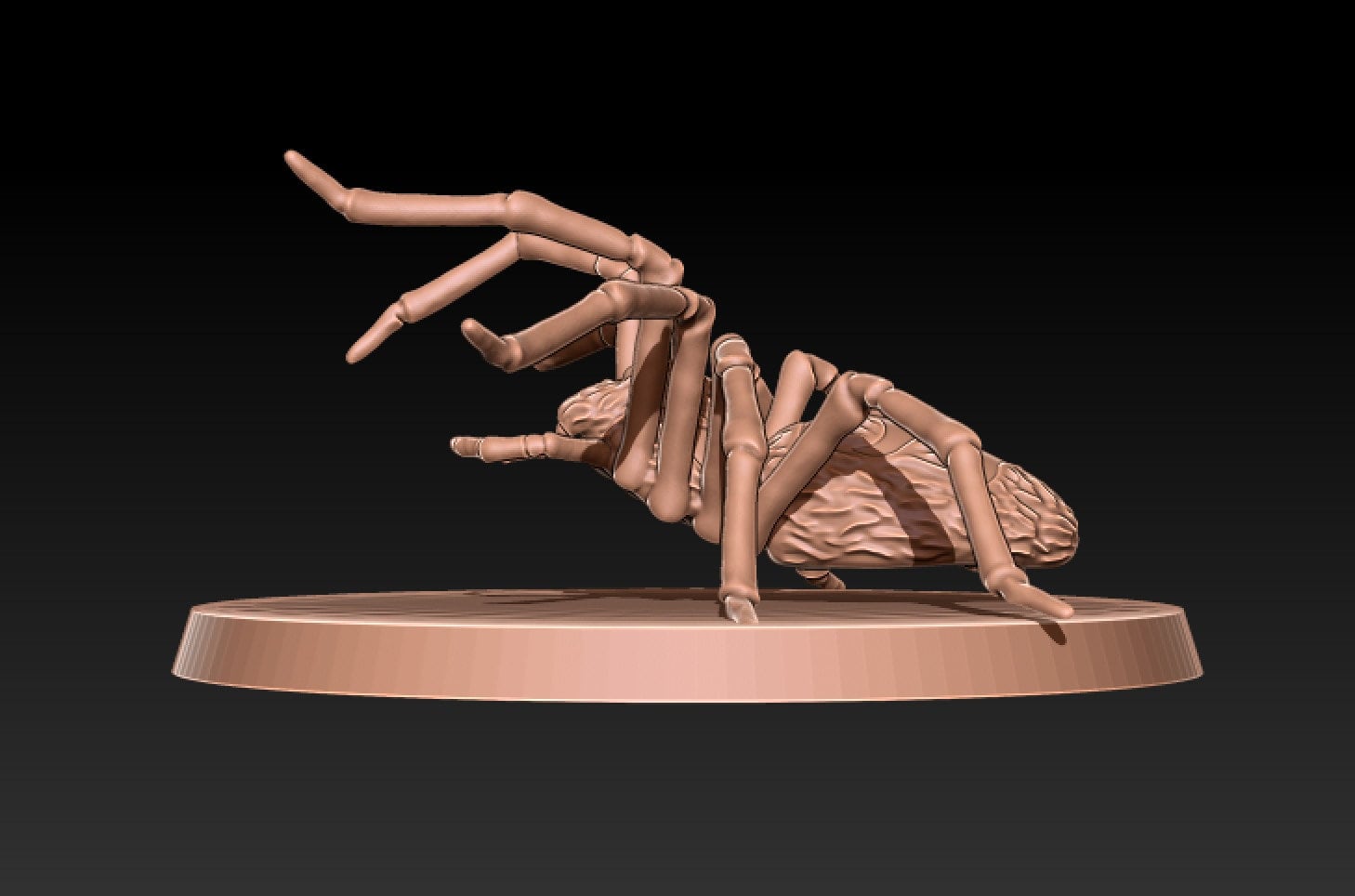 Giant Spiders