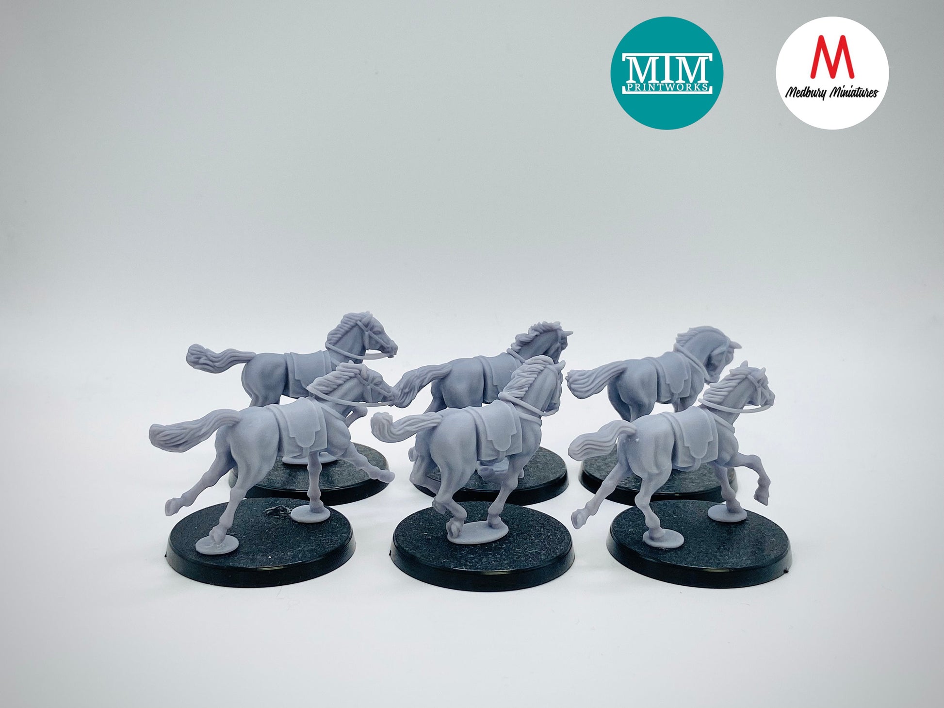Horse Set Bits Box