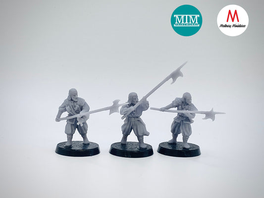 Rising Sun Pirate Warriors with Spear