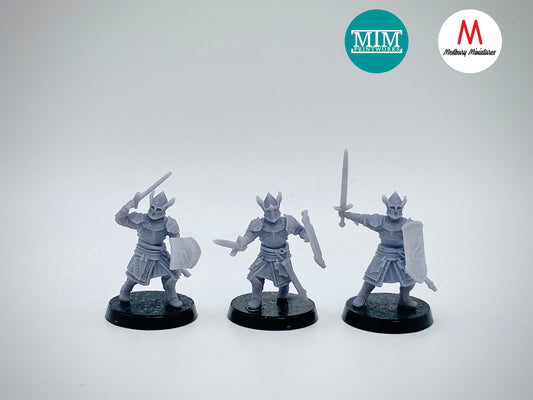 Southern Kingdom Dismounted Bannermen